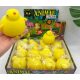  squishy 12 pz. POLLO GNX-104