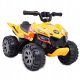  IL PRIMO QUAD DIRT RAIDER/BRD2101