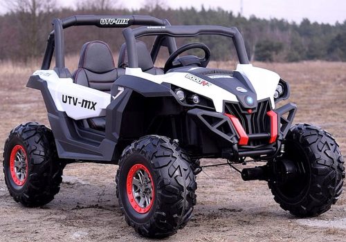  JEEP BUGGY UTV MX BATTERIA 24V POTENZA 180W AMORY PILOTA