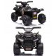  QUAD BATTERIA PER BAMBINO - CHAMPION 5000/JS320