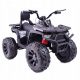  MEGA QUAD TOP SPEED 2X200W, 24 V, SUPER POWER, GAS NELLA LEVA, FRENI/JC-333