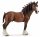  Castroni Schleich Clydesdale