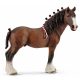  Castroni Schleich Clydesdale