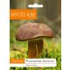  Micelio micelio Bolete bruno 0,01 kg