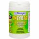 Agente per pozzo nero, fossa settica - Polvere Biozym per fosse settiche 1 l 1 kg