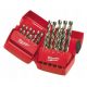 Set punte per metallo Milwaukee 4932352376 25 pezzi