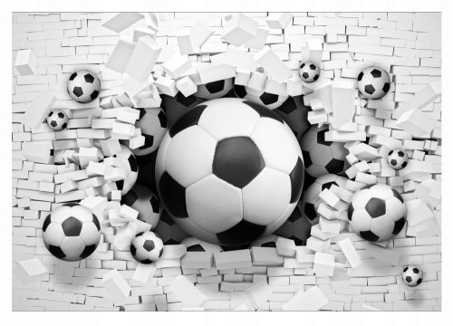 Carta da parati fotografica 3D FOOTBALL WALL BRICK BALLS 368x254