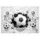 Carta da parati fotografica 3D FOOTBALL WALL BRICK BALLS 368x254