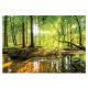 Carta da parati FORESTA ALBERI NEBBIA NATURA VISTA 3D 368x254