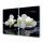 Copertura per piano cottura a induzione Gift Orchid 2x30x52